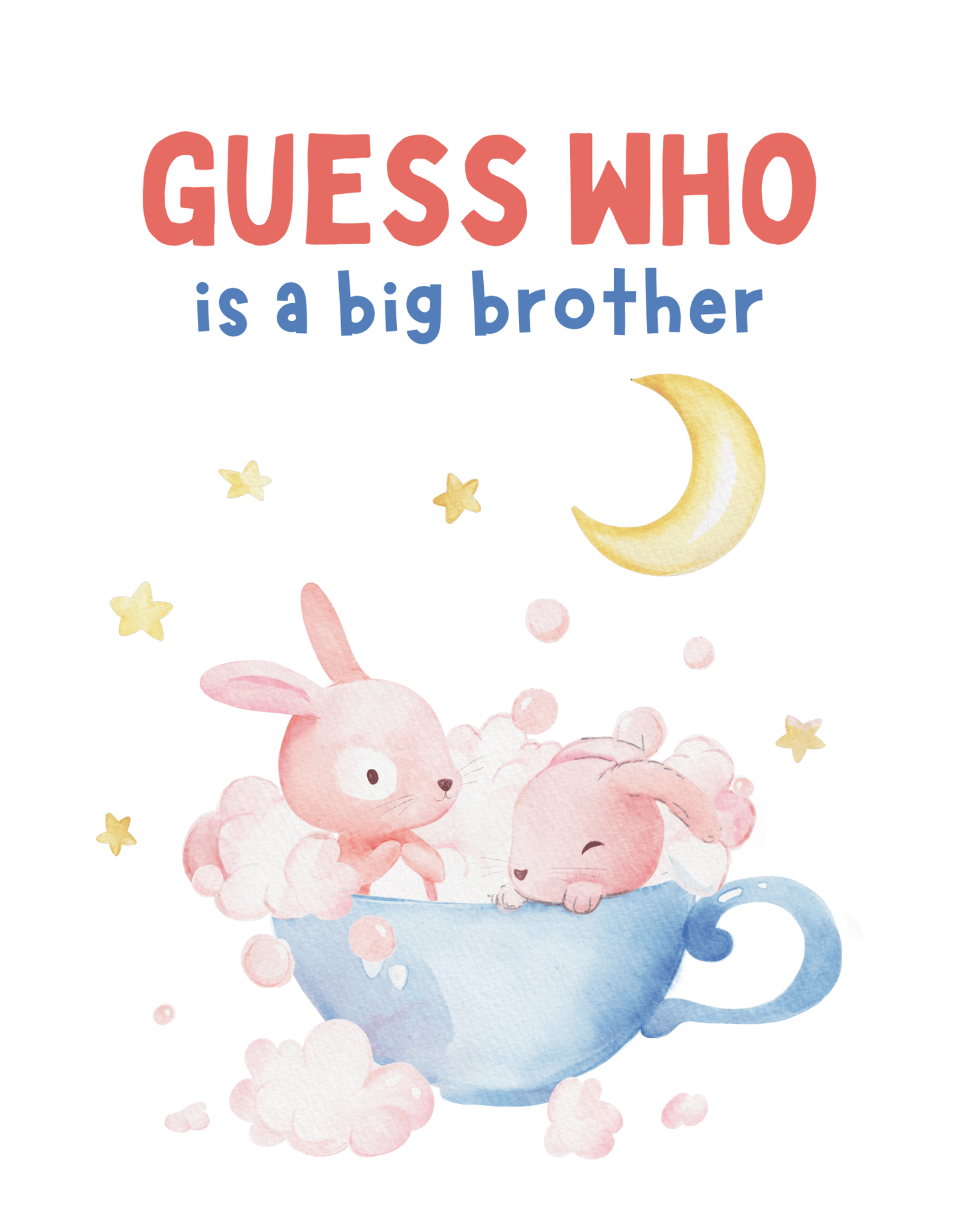 Guess Who is a Big Brother (Family 16) - InkDura