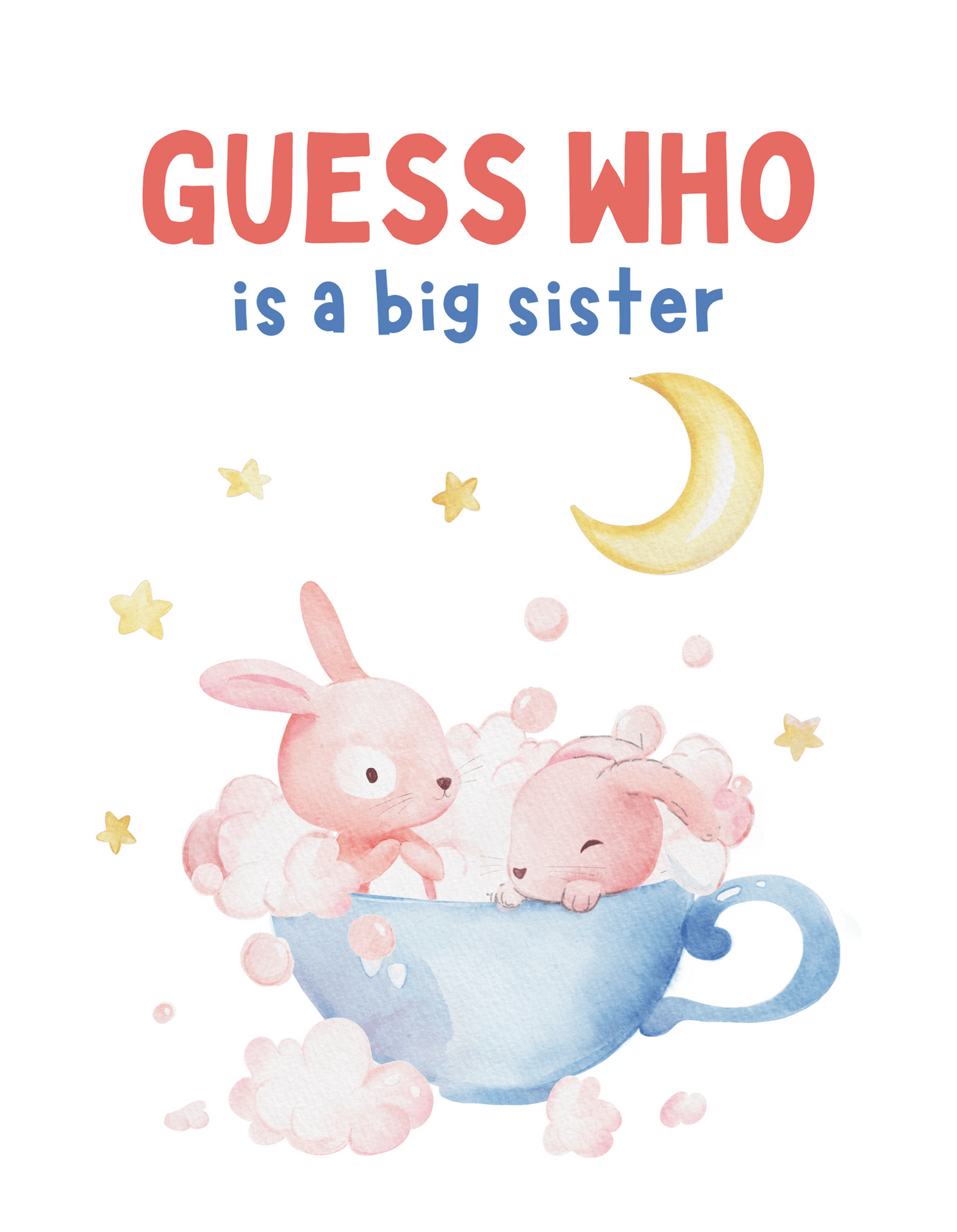 Guess Who is a Big Sister (Family 15) - InkDura