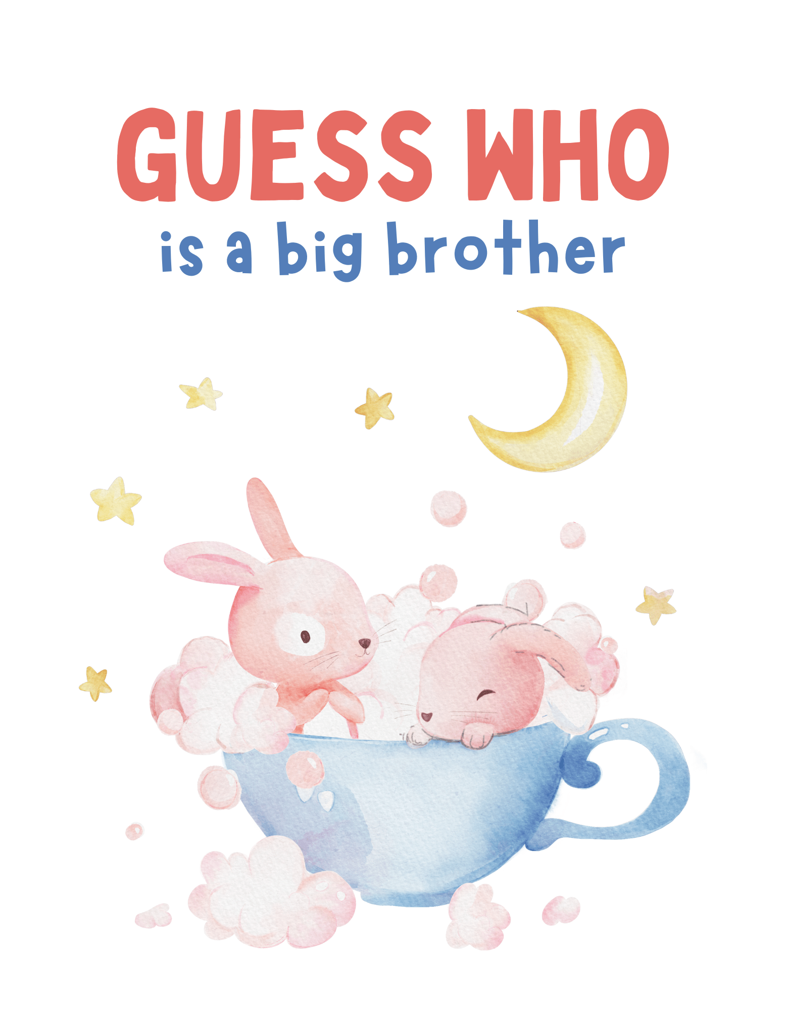 Guess Who is a Big Brother (Family 16) - InkDura